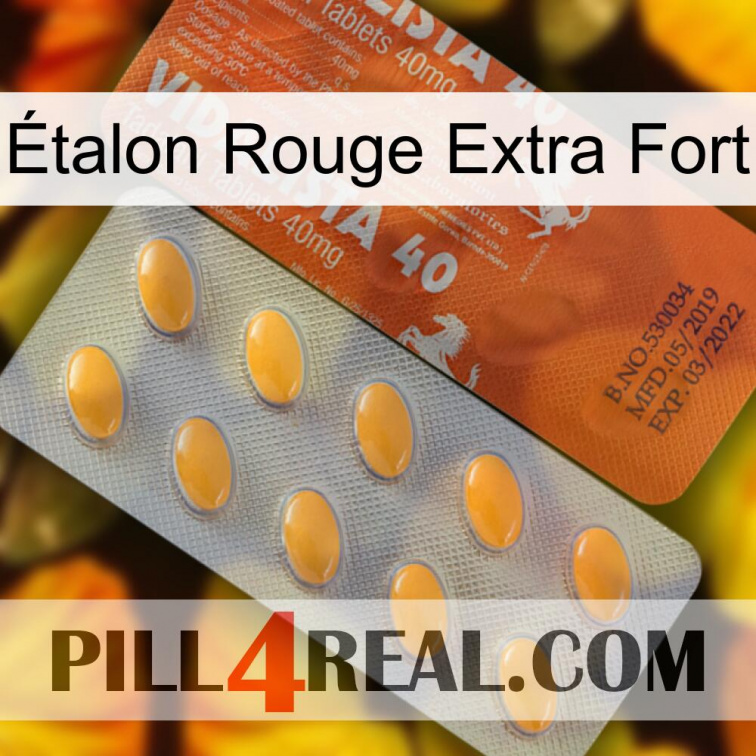 Étalon Rouge Extra Fort 43